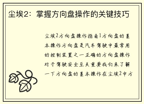 尘埃2：掌握方向盘操作的关键技巧