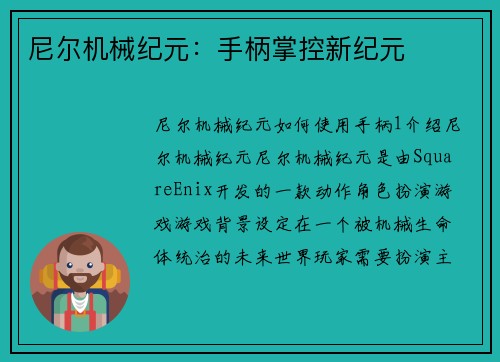 尼尔机械纪元：手柄掌控新纪元